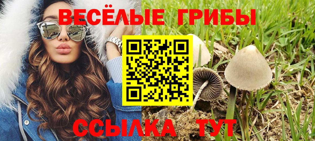 Магадан  Псилоцибиновые грибы GOLDEN TEACHER  Вход с VPN 